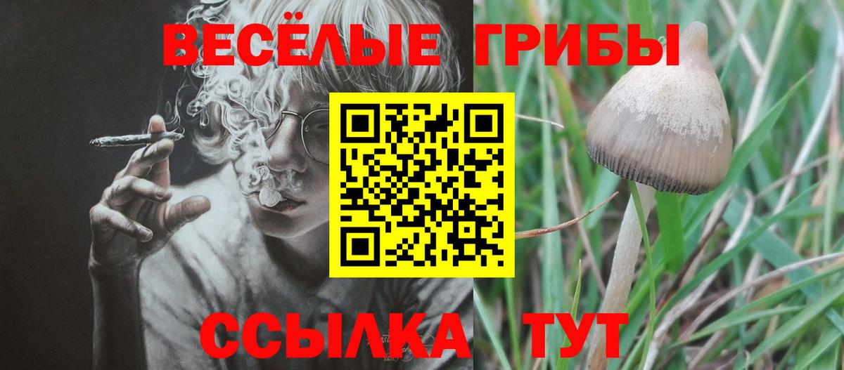 Краснознаменск  Галлюциногенные грибы Magic Shrooms  Вход с VPN 